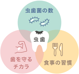 虫歯の原因：虫歯菌の数、歯を守るチカラ、食事の習慣